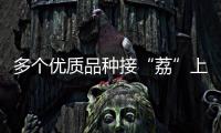 多个优质品种接“荔”上市，斗门今年荔枝总产量将达4500吨