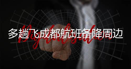 最后查询获悉备降到了重庆