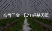 奈哲门窗：以年轻基因重塑行业格局，一线品牌的破界成长之路