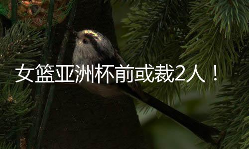 或裁她都没能获得太多机会