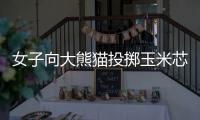 女子向大熊猫投掷玉米芯 成都熊猫谷通报：终生禁入
