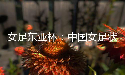 足状足抢那么本届女足东亚杯