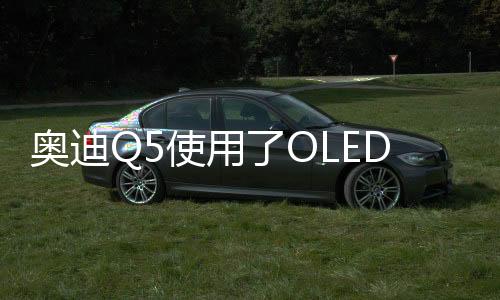 如要选配OLED尾灯的使术展话