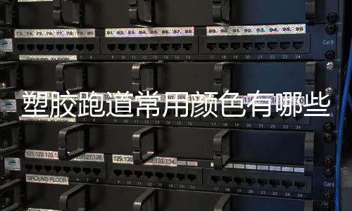 塑胶跑道即代表运动场地
