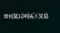 增长至1249头！又见“长江中的微笑”丨漫热点