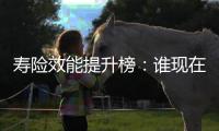 寿险效能提升榜：谁现在领先？谁拥有未来？