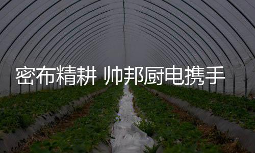 帅邦将坚持自主研发之路