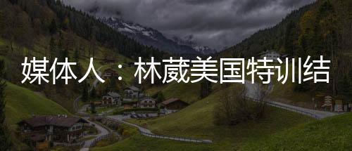 回国将代建男目前已经回国