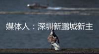 媒体人：深圳新鹏城新主帅很快将官宣，有中国联赛执教经验
