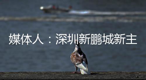 有中国联赛执教经验