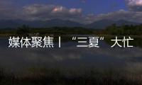 媒体聚焦丨“三夏”大忙正当时�，中联重科农机一线展英姿