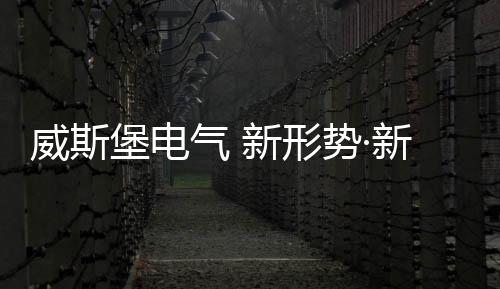 成就更辉煌的堡电明天