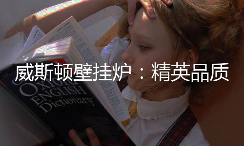 近年来深受众多用户喜爱