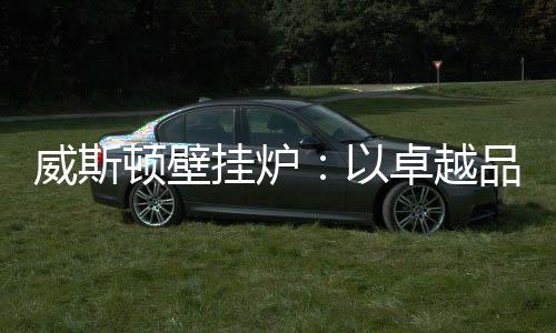 灵巧调节的暖和供暖机器