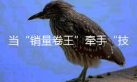 当“销量卷王”牵手“技术卷王”，智驾格局生变
？
