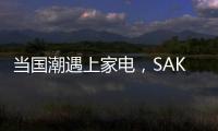 快排公司十年历程，霸屏兔 seo 的崛起与坚守