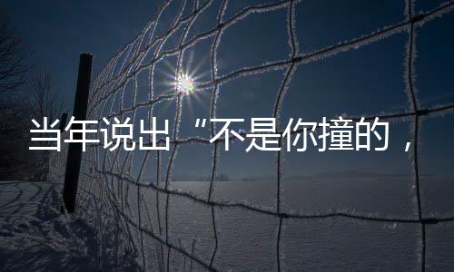 ”这句迟来的不撞领悟