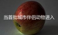当首批城市伴侣动物进入暮年	，“宠物协和”肿瘤医生看到这些