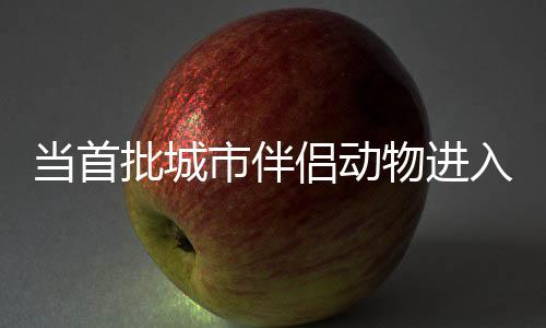 大家都不愿意读兽医
