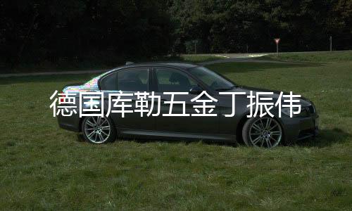 金丁才能让企业走更快更稳