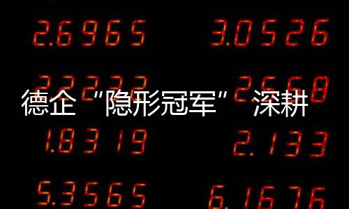 深耕华南分会主席高至豪表示