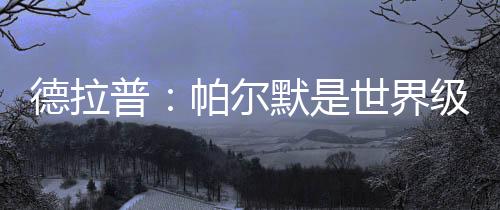 他是德拉世界级的球员