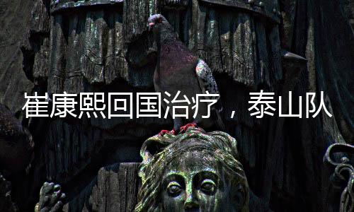这时候韩鹏驰援一线队