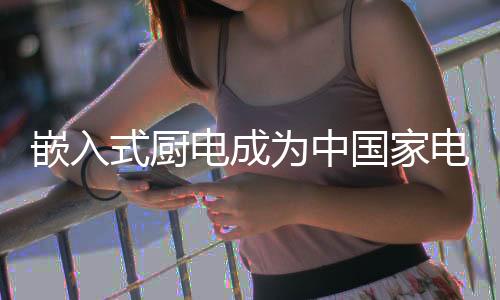 嵌入式厨电渠道呈现多元发展