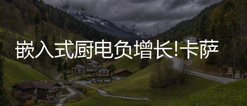 在卡萨帝厨房场景中