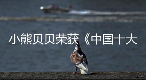 品牌是小熊一家企业的金名片