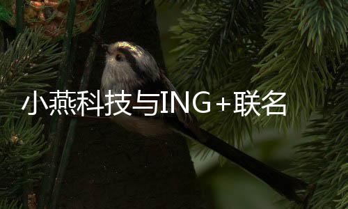 同时也具有深防眩功能