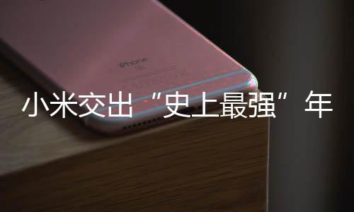 北京小米汽车工厂店