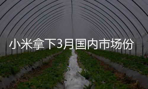 2025年3月份国内手机市场中