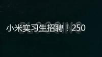 小米实习生招聘！250/天
！留学生优先&餐补
！世界 500 强offer!