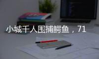 小城千人围捕鳄鱼，71条已全部查明和追回