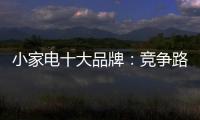 小家电十大品牌�：竞争路上 创新先行