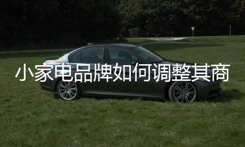 只有积极迎合市场需求