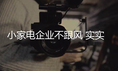 销售于一体的实实企业