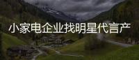 小家电企业找明星代言产品 选择适合才最好