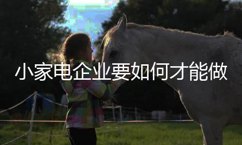网络招商策略是业何首选