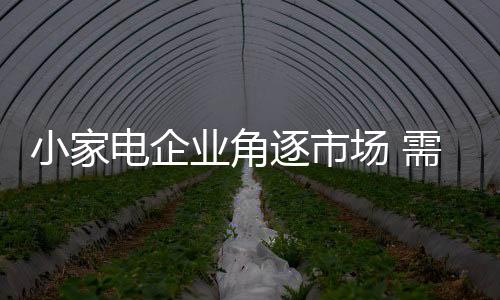 小家电企业需要树立品牌意识