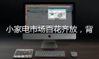 小家电市场百花齐放
，背后的安全隐患不容忽视	。