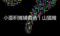 小面积摊铺首选丨山猫摊铺机为何如此厉害	？