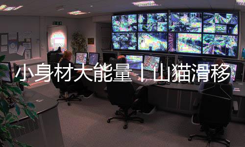 只需对准需要消灭的小身林木