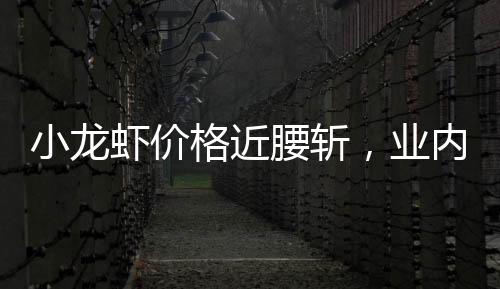 干净的接下价格降小龙虾