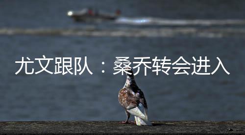 但仍在考虑下一步行动