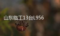 山东临工13台L956HEV定制电装交付生物质发电企业，开启绿色租赁新篇章