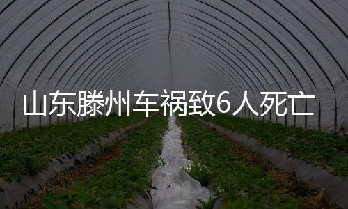 肇事司机蔡某某被当场控制