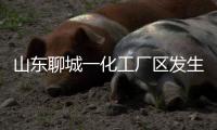 山东聊城一化工厂区发生爆炸
，致5死1伤1失联