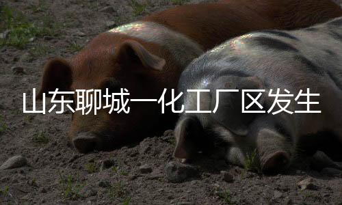 事故具体原因正在调查中